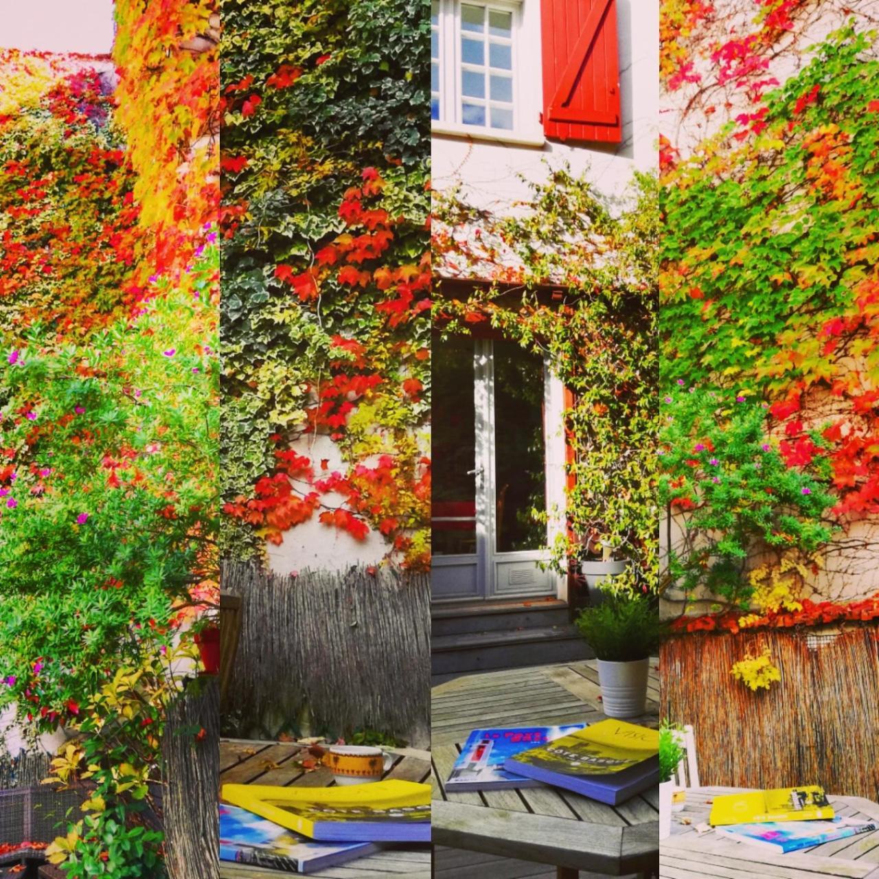 Hotel La Marisa Grande Plage Saint-Jean-de-Luz Dış mekan fotoğraf